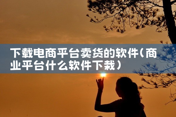 下载电商平台卖货的软件