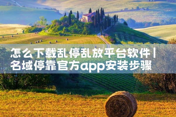 怎么下载乱停乱放平台软件