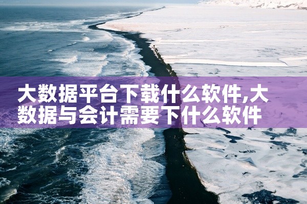 大数据平台下载什么软件