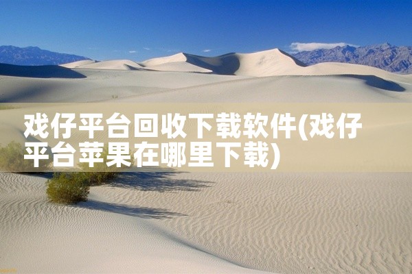 戏仔平台回收下载软件
