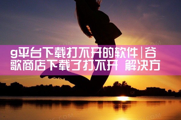 g平台下载打不开的软件